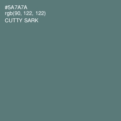 #5A7A7A - Cutty Sark Color Image